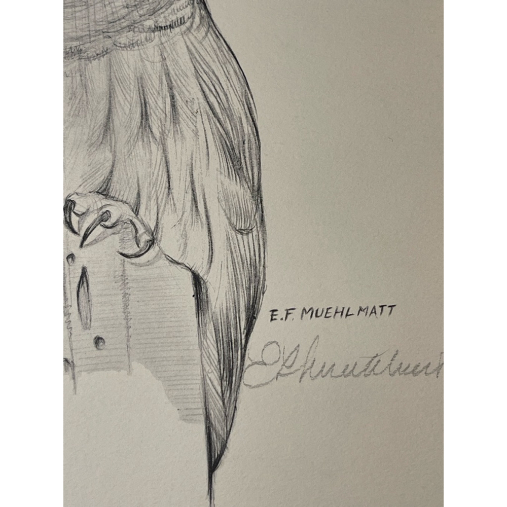 E.F. Muehlmatt Signed Barred Owl Print 8x10 Pencil Signature Wildlife Art - Picture 3 of 3
